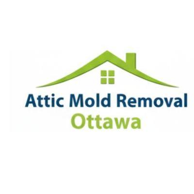 atticmoldremovalottawa
